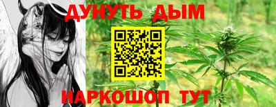 крисы Можга