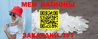 крисы Можга