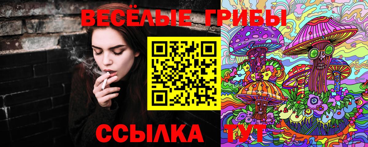 Псилоцибиновые грибы GOLDEN TEACHER  Псилоцибиновые грибы ЛСД  Шебекино  Вход с VPN 