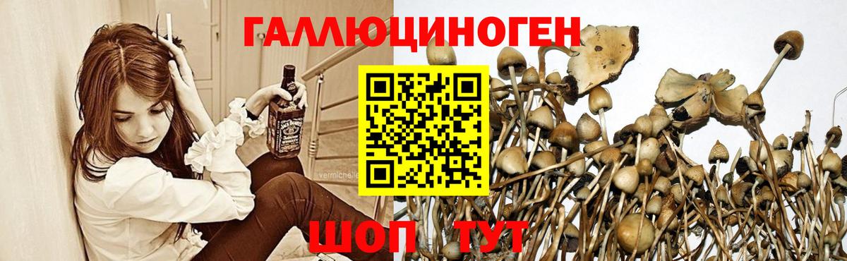 Галлюциногенные грибы прущие грибы Шебекино